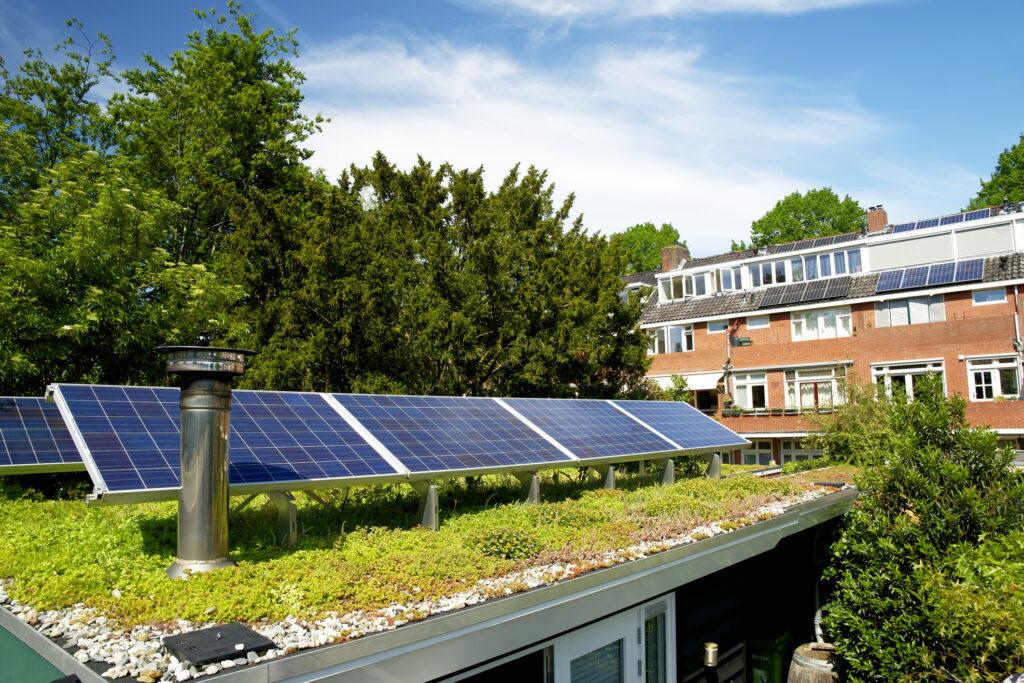 green roof services in tendring clacton and Colchester essex